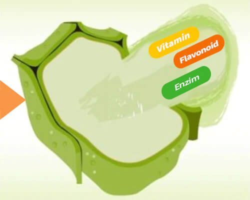 Kuvings Whole Slow Juicer