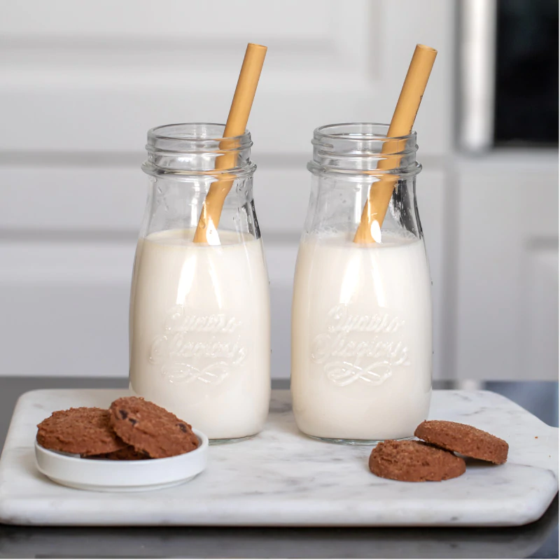 EV YAPIMI BİTKİ SÜTÜ