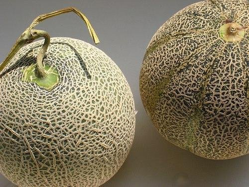 Tatsız Kavun Nasıl Değerlendirilir